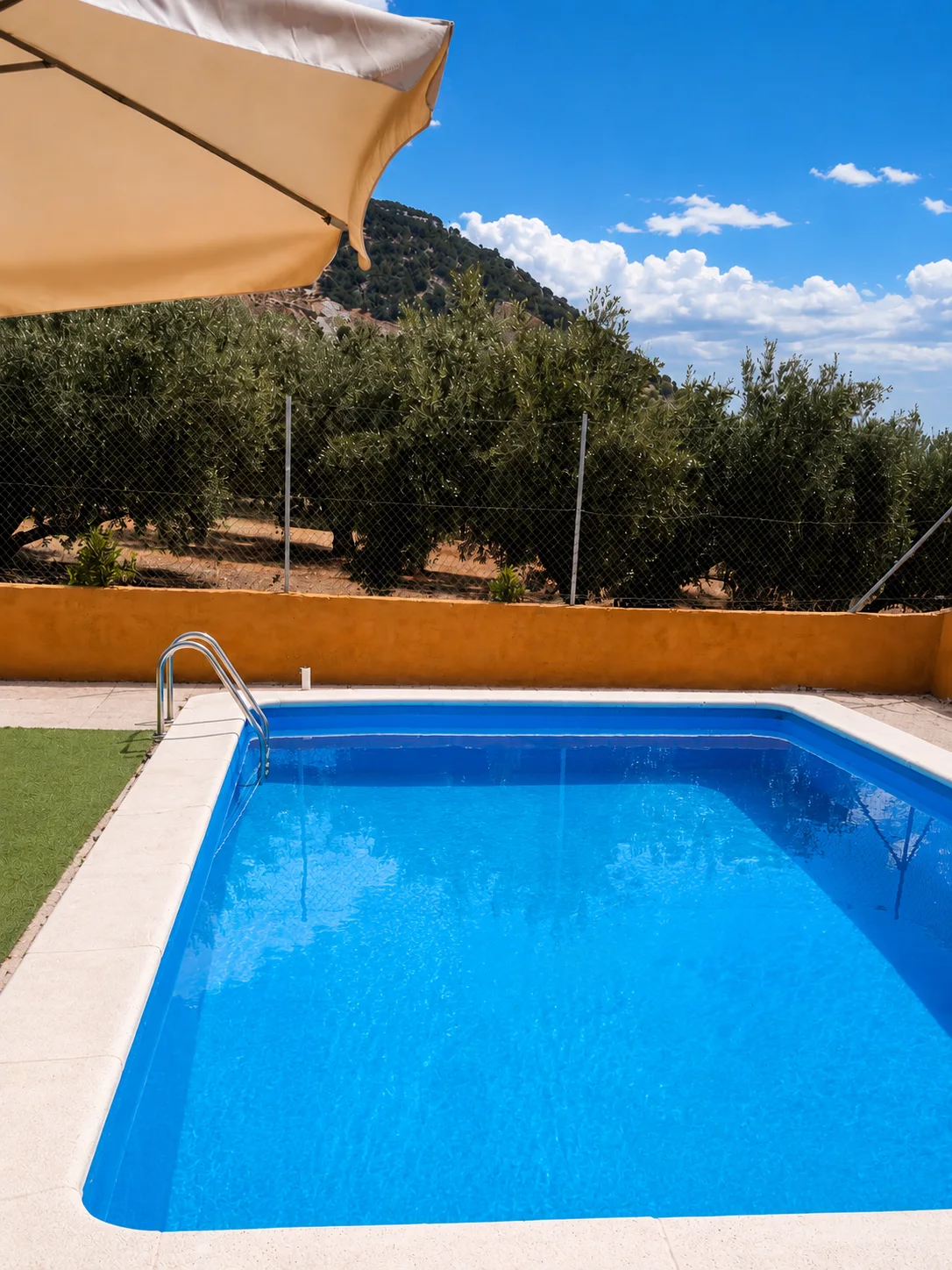 Piscina privada con sombrilla, el muro de albero y el olivar subiendo hacia el cerro